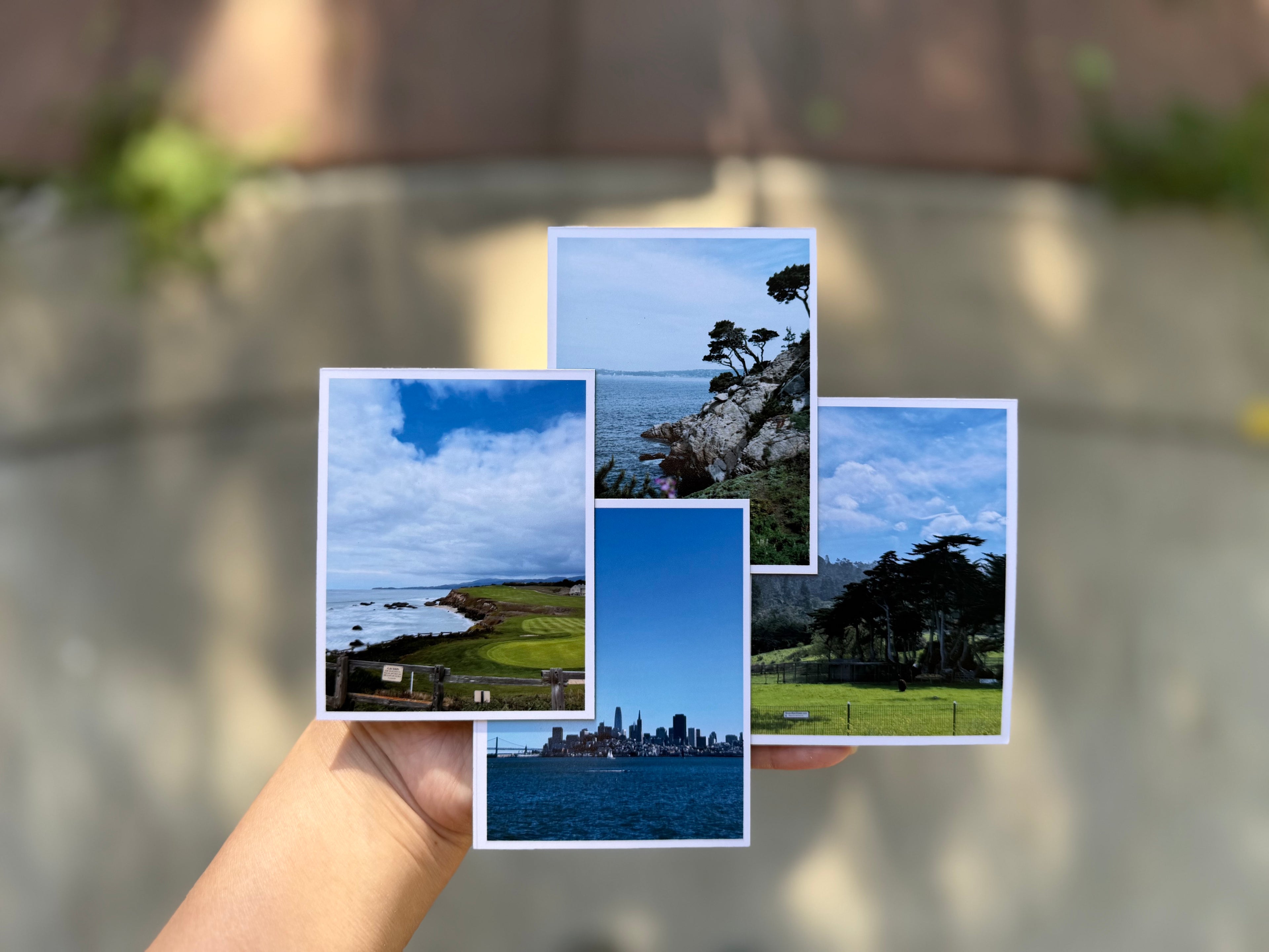 Custom Photo Magnets | 12-Piece Personalized Magnet Set