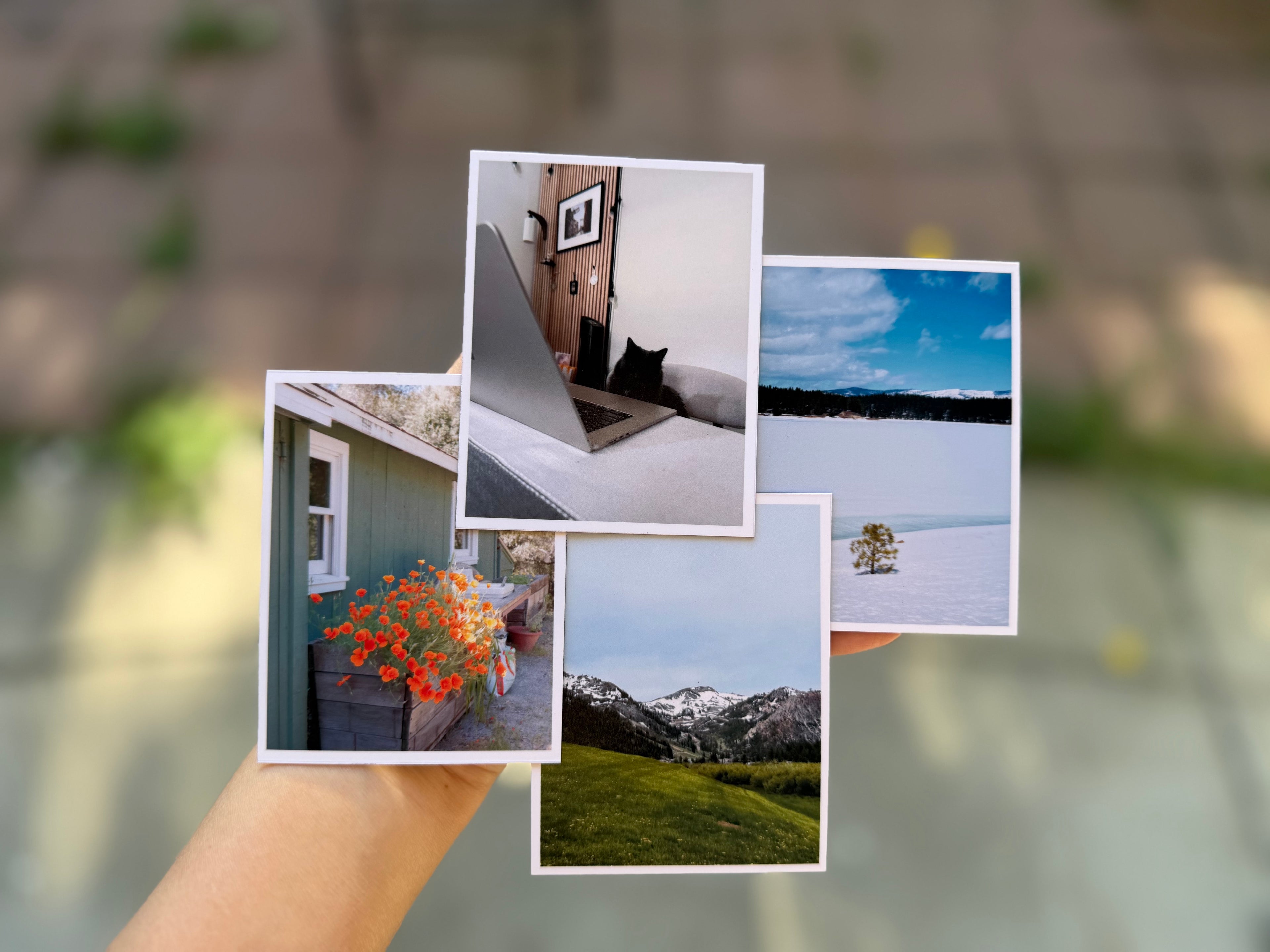 Custom Photo Magnets | 12-Piece Personalized Magnet Set