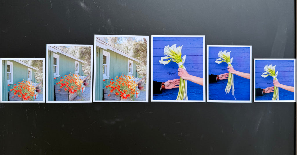 Custom Photo Magnets | 12-Piece Personalized Magnet Set