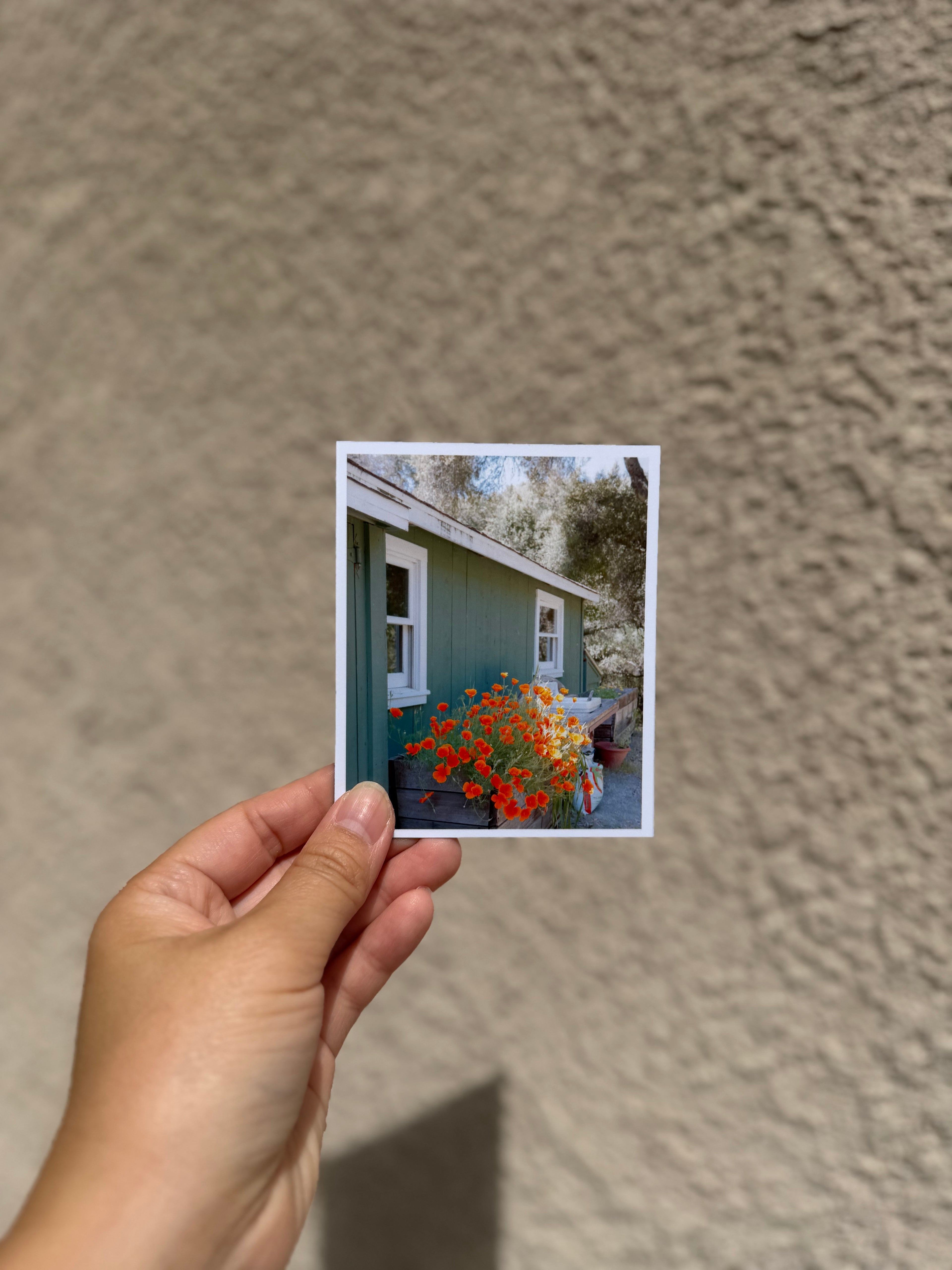 Custom Photo Magnets | 12-Piece Personalized Magnet Set