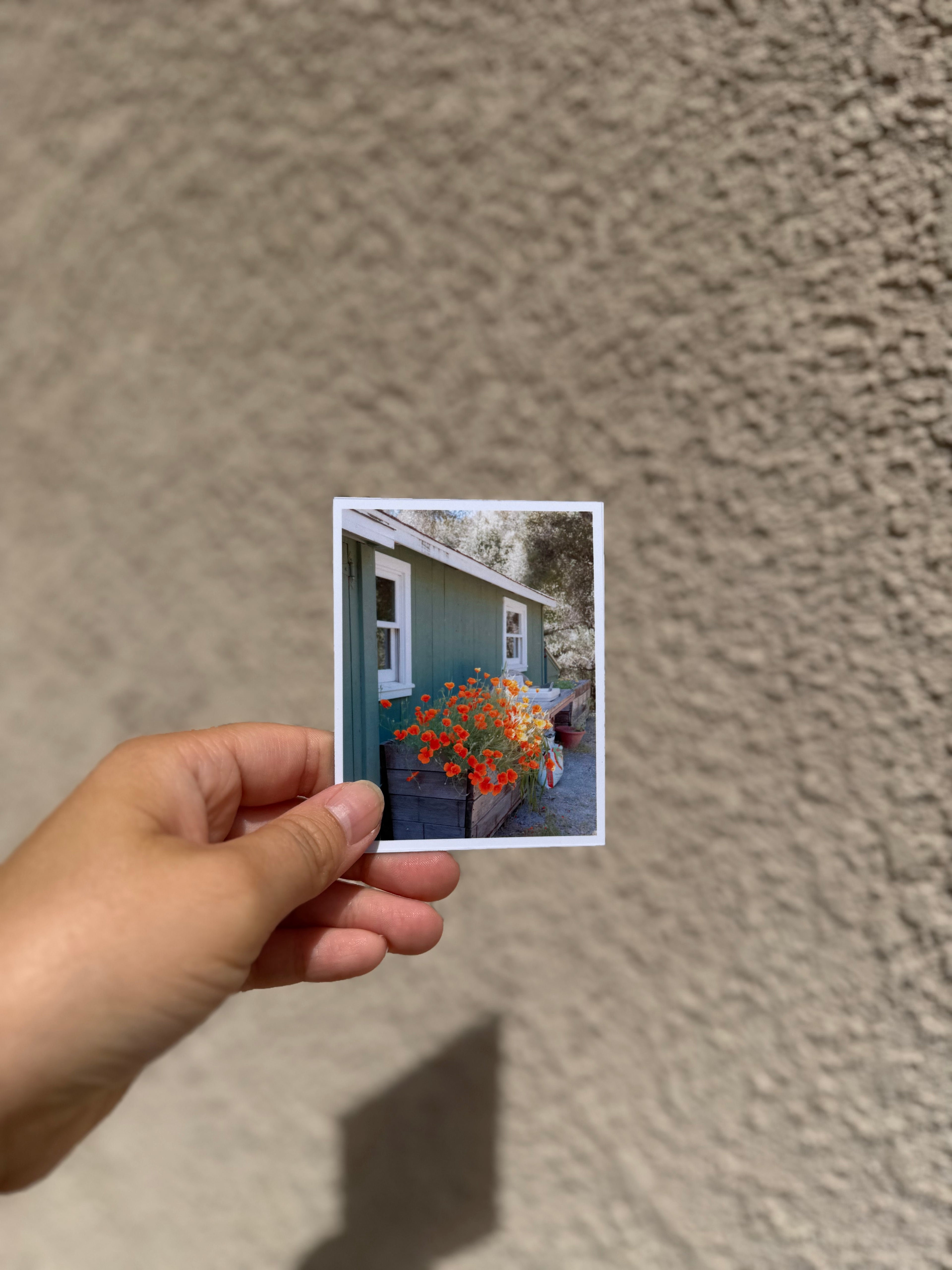 Custom Photo Magnets | 12-Piece Personalized Magnet Set