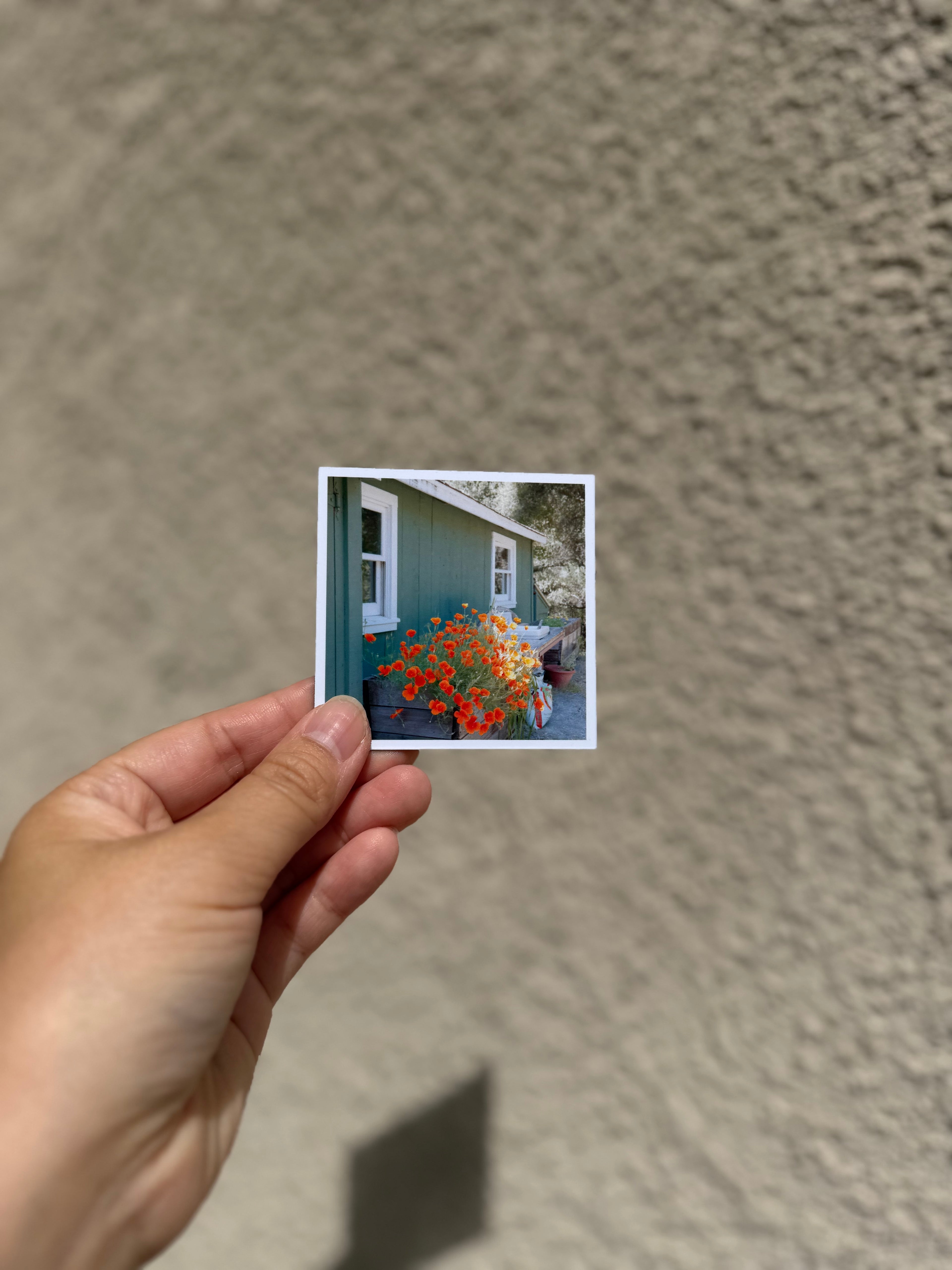 Custom Photo Magnets | 12-Piece Personalized Magnet Set